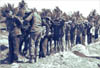 20 Suspected Viet Cong